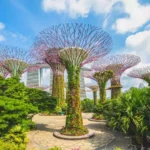 gardens by the bay tickets purchase img1