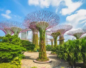 gardens by the bay tickets purchase img1